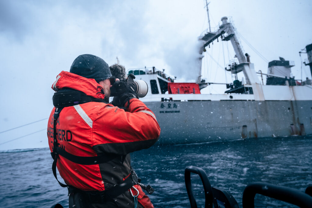 Η Πιο Σημαντική Περιοχή Σίτισης Φαλαινών Στον Κόσμο Απειλείται